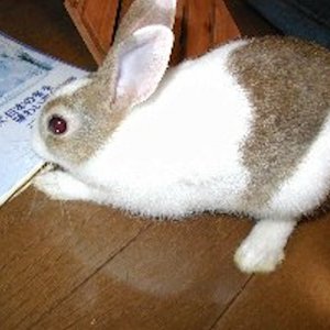 Thumbnail of post image 025