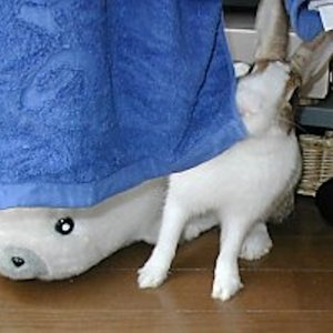 Thumbnail of post image 064