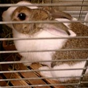 Thumbnail of post image 140
