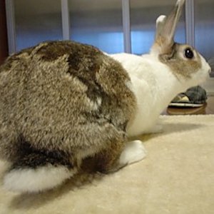 Thumbnail of post image 074