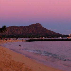 Hawaii Waikiki Lunch Selected